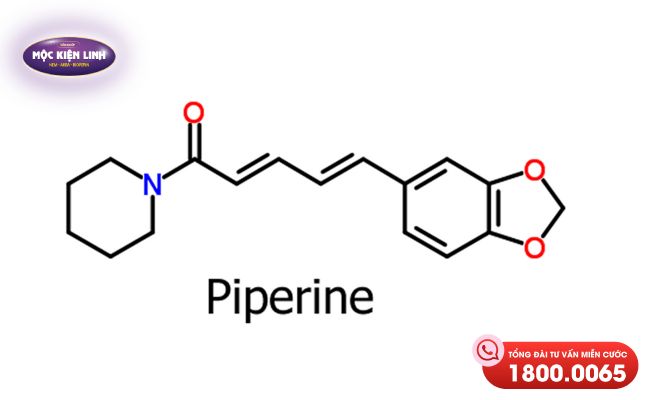 Piperine là hoạt chất thuộc nhóm alcaloid