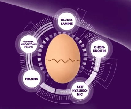 Màng vỏ trứng chứa nhiều thành phần cần cho sụn khớp