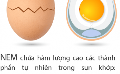 Màng vỏ trứng tự nhiên là gì?