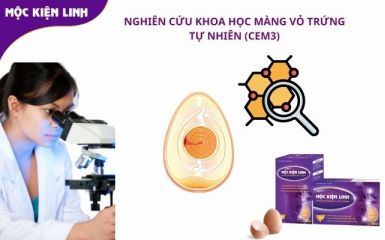 Nghiên cứu khoa học màng vỏ trứng tự nhiên CEM3